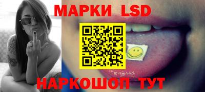стаф Новодвинск