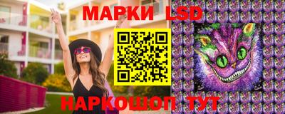 ПСИЛОЦИБИНОВЫЕ ГРИБЫ Новокубанск