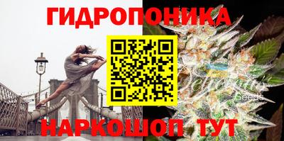 альфа пвп Обь