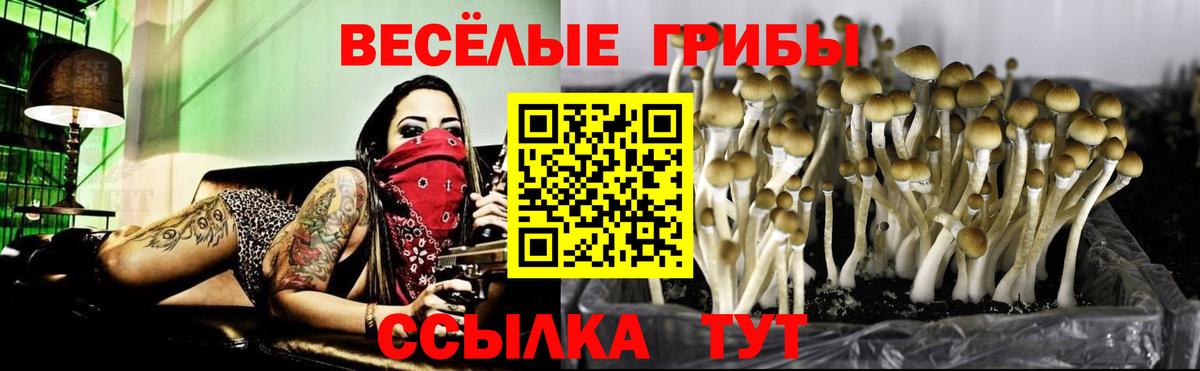 Псилоцибиновые грибы мухоморы  Вход с VPN  Сорочинск 