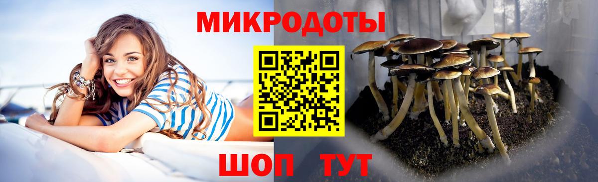 Псилоцибиновые грибы мицелий Сорочинск