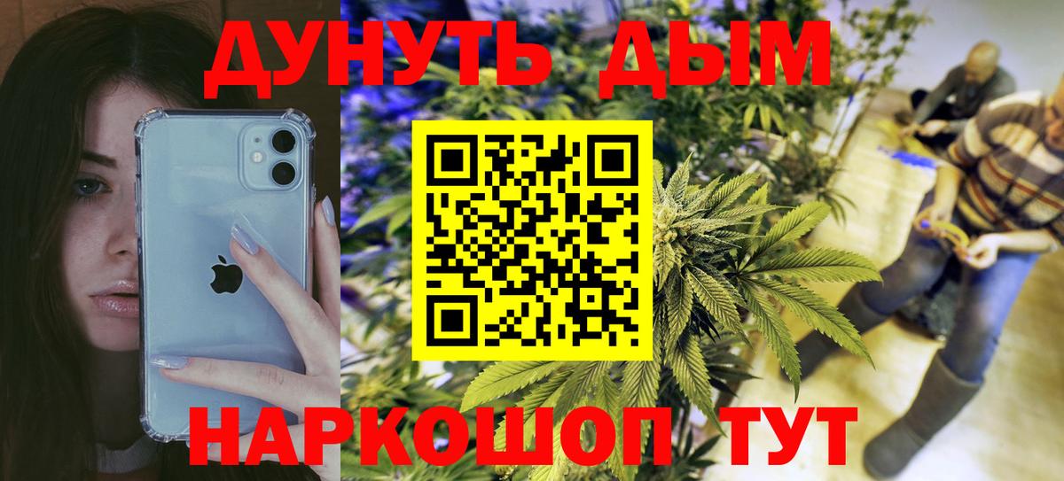 Канабис сатива Сорочинск